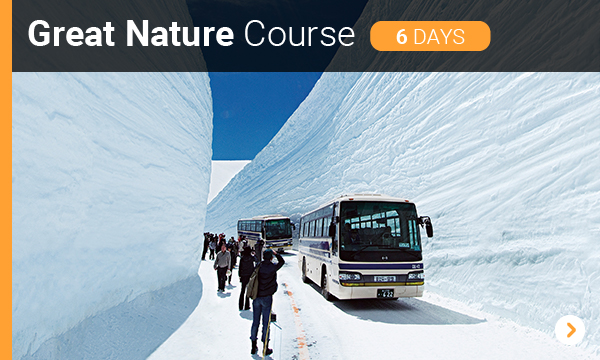 Great Nature Course