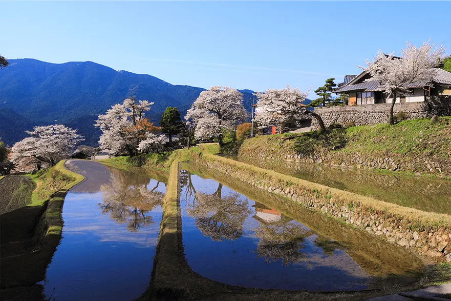 Experience the Nature and Artisanship of Central Japan's Southern Coast