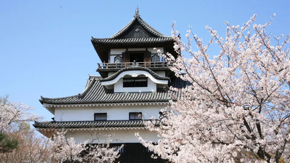 Take a walk through the historical castle town of Inuyama