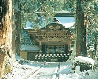 FUKUI