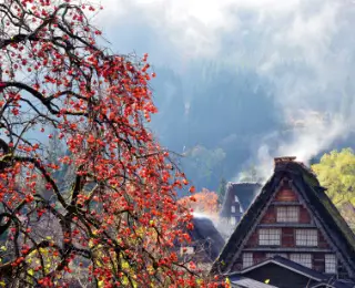 GIFU