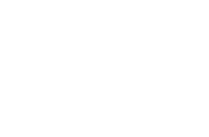 shoryudo logo 1