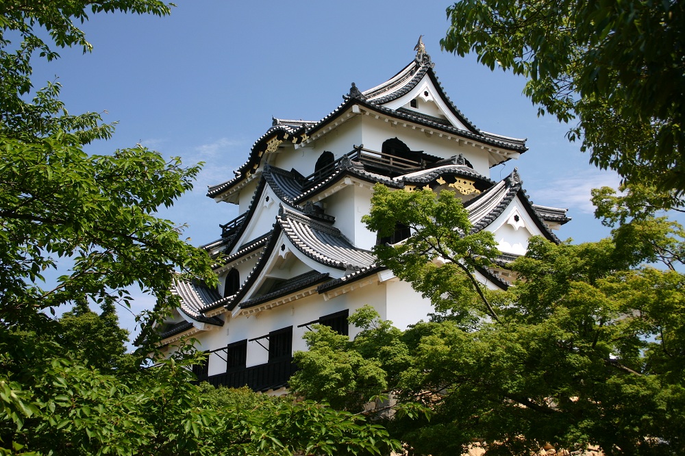National Treasure Hikone Castle_image