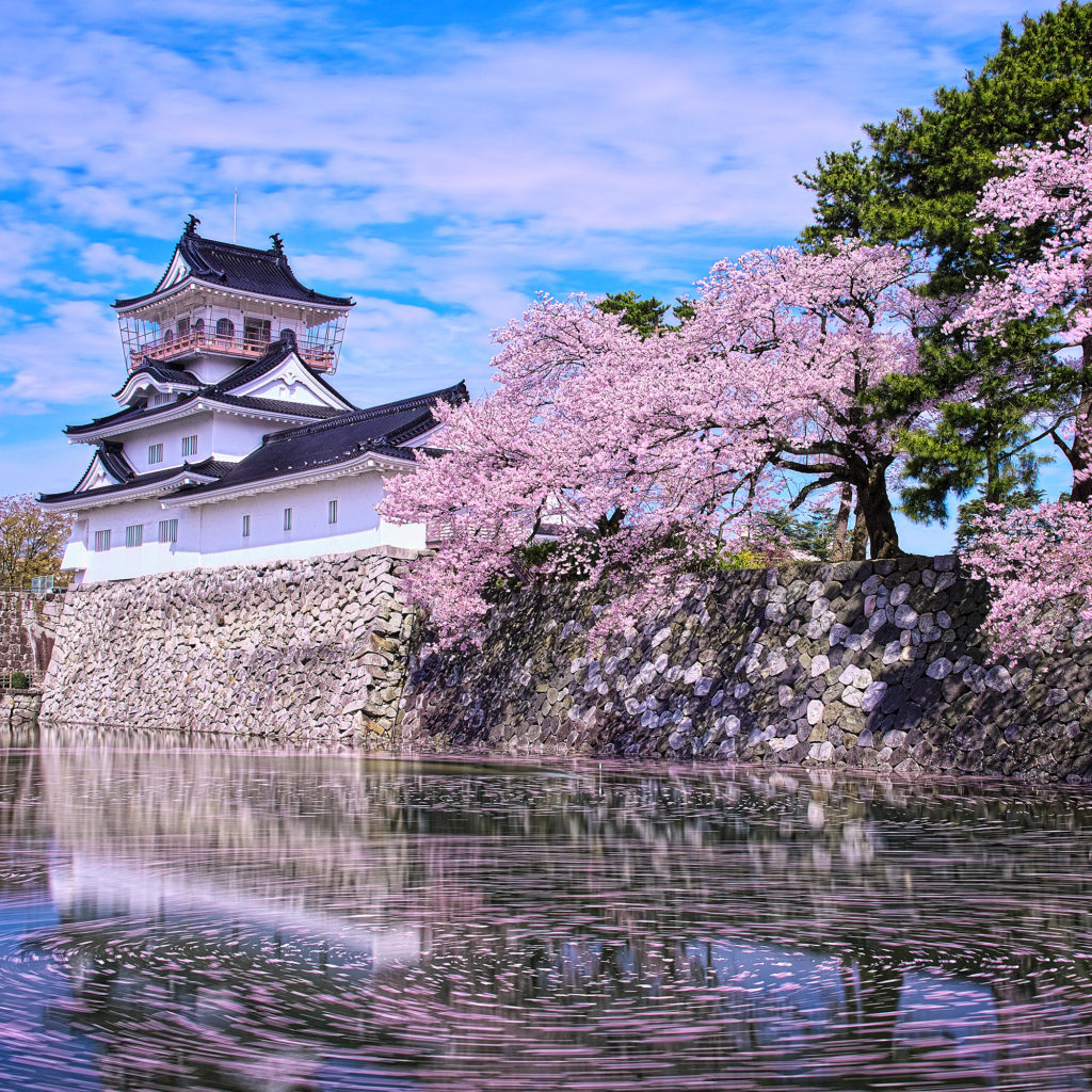 Toyama Castle | SHORYUDO , Go Central Japan