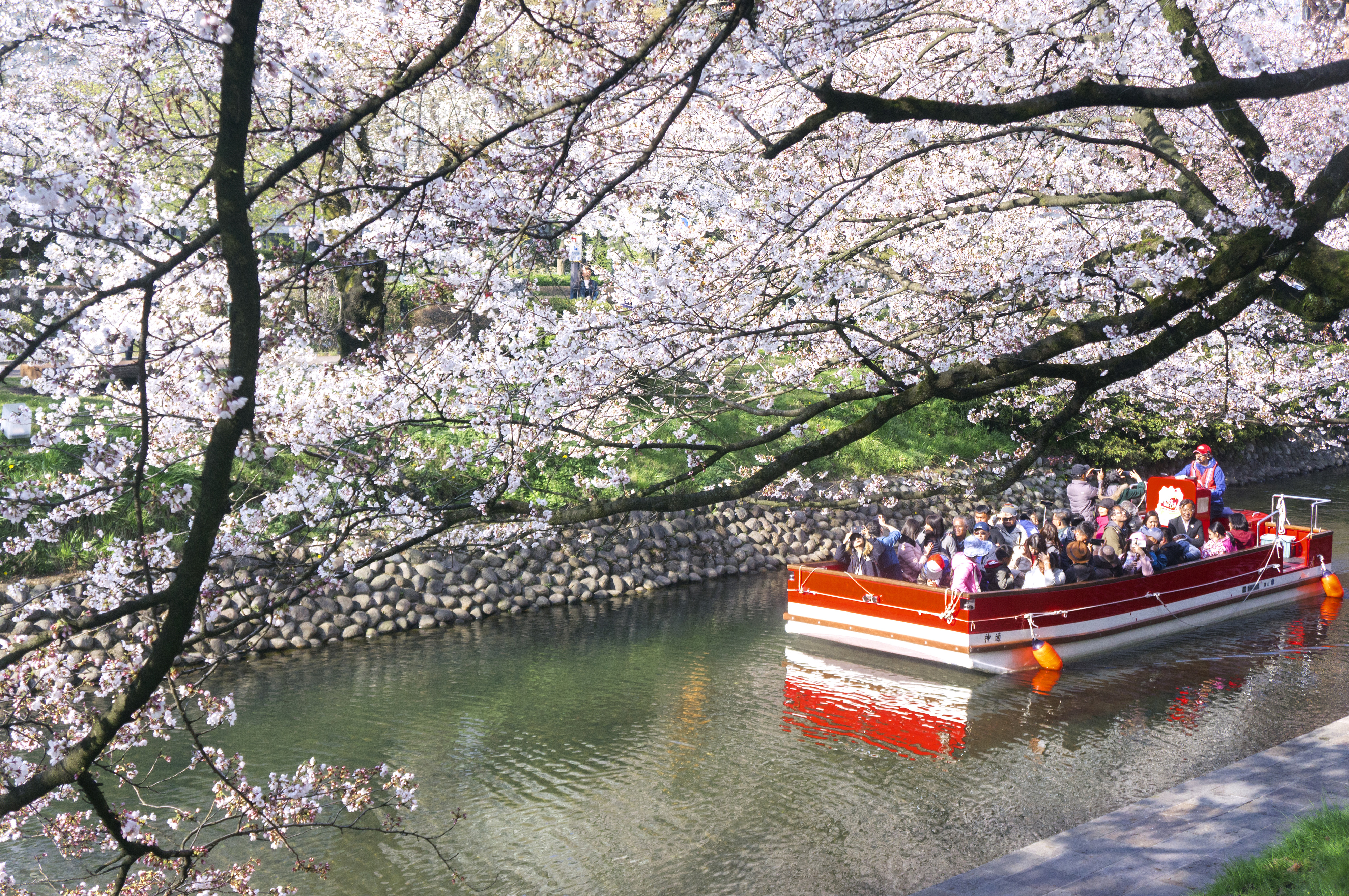 Matsukawa river cruises | SHORYUDO , Go Central Japan