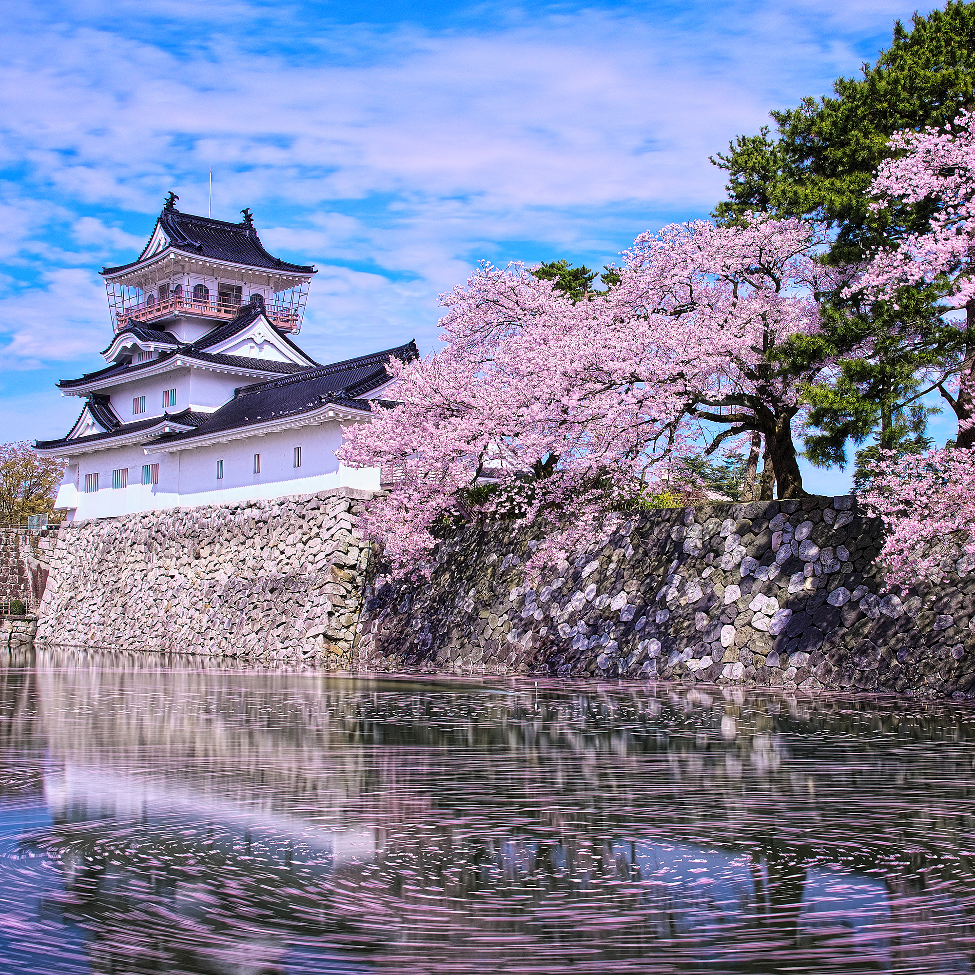  Toyama Castle_image