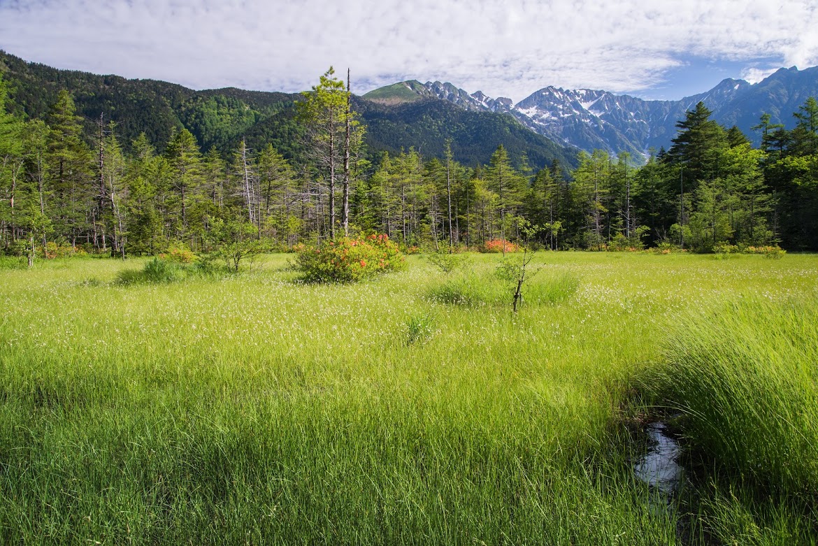 ⑤上高地田代湿原2