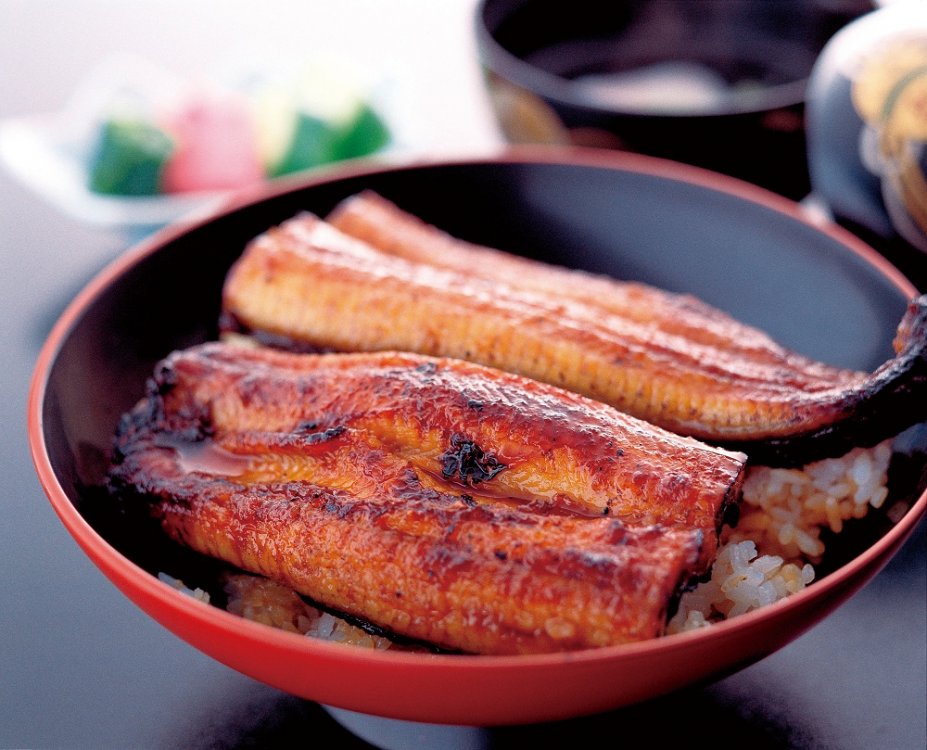 浜名湖うなぎ
